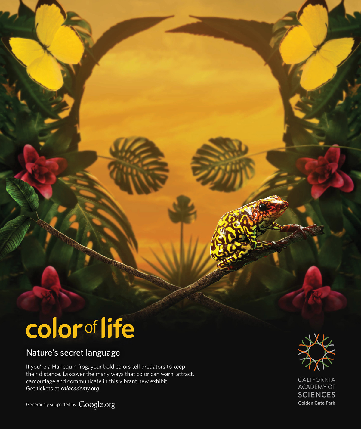 RFA-WORK-CAS-Color-Creative-1-FA