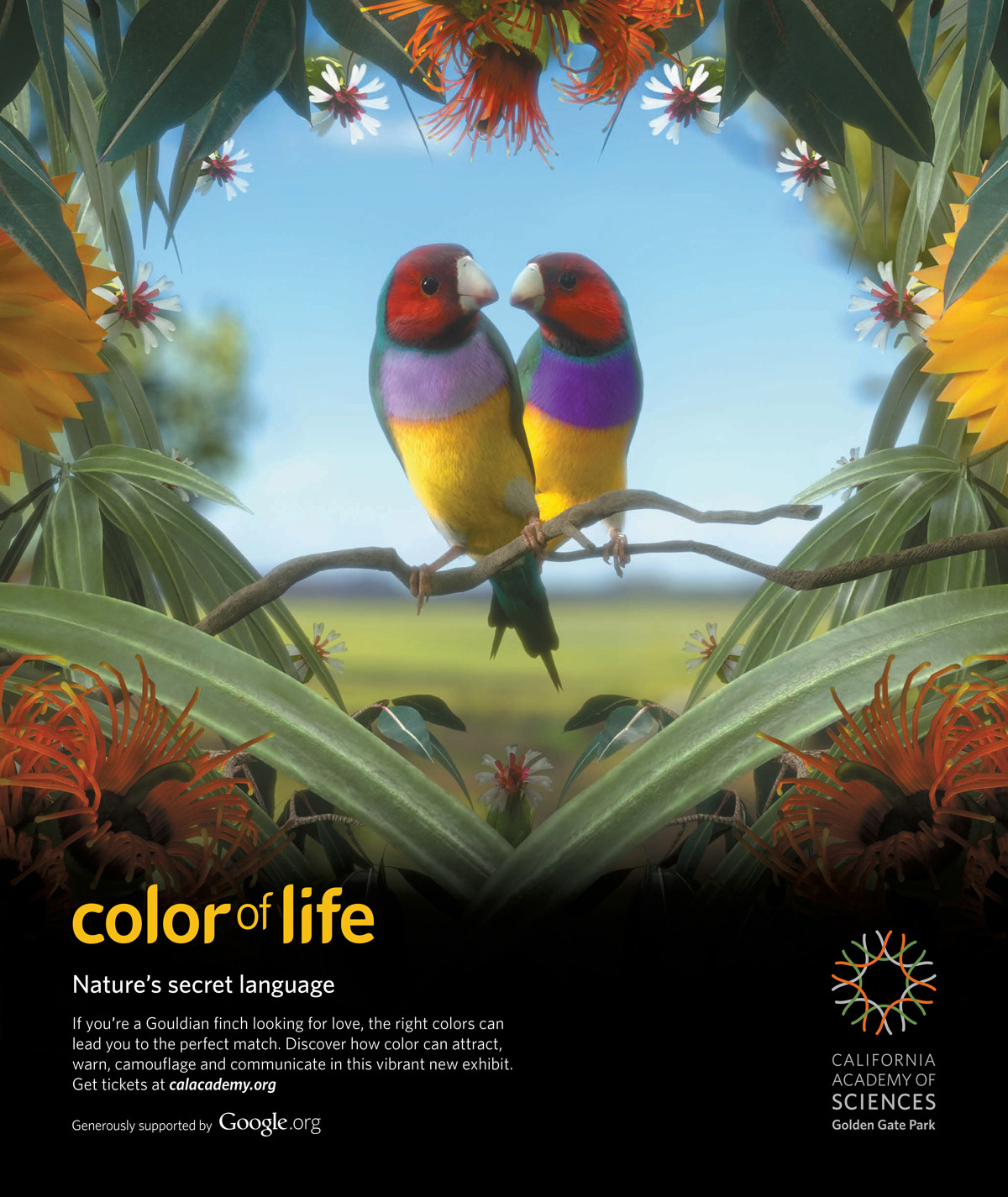 RFA-WORK-CAS-Color-Creative-2-FA