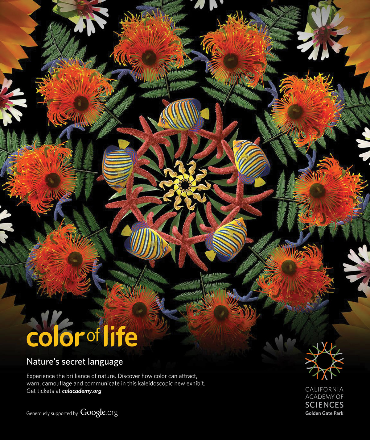 RFA-WORK-CAS-Color-Creative-3-FA