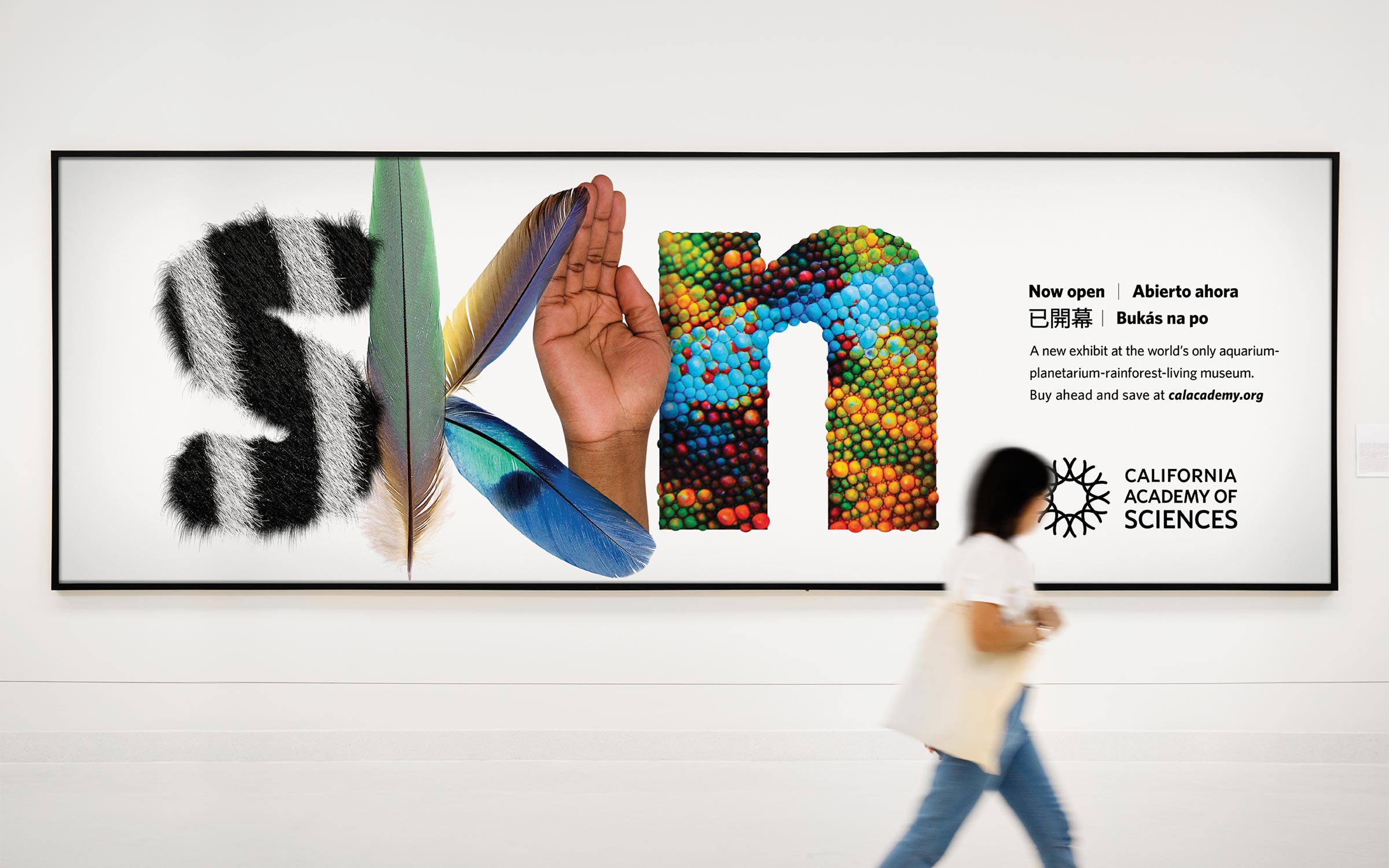 RFA-WORK-CAS-Skin-Creative-1-FA