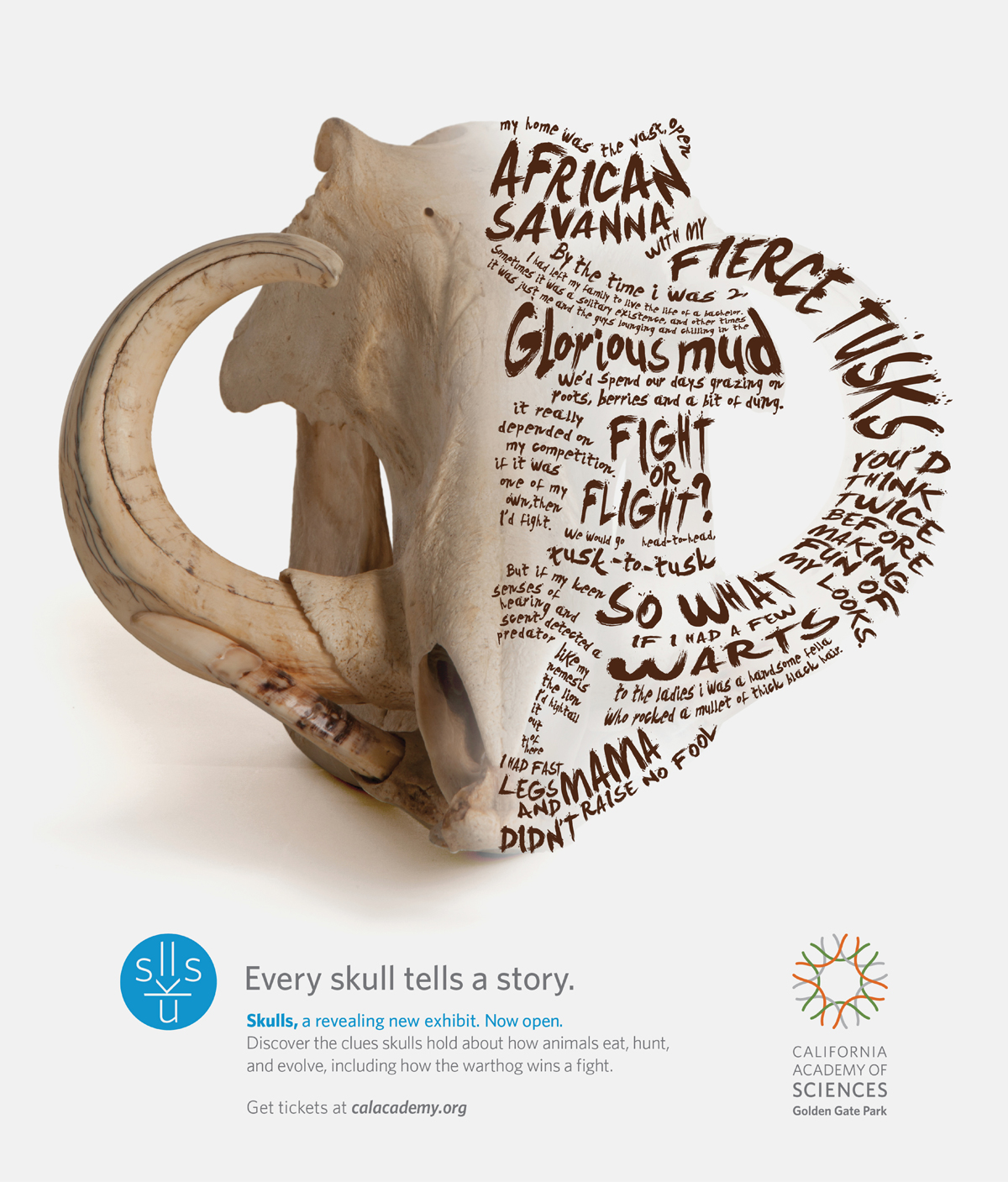 RFA-WORK-CAS-Skulls-Creative-2-FA
