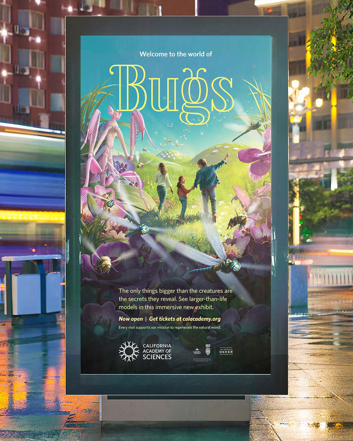 RFA-WORK-CAS-Bugs-Creative-2-FA