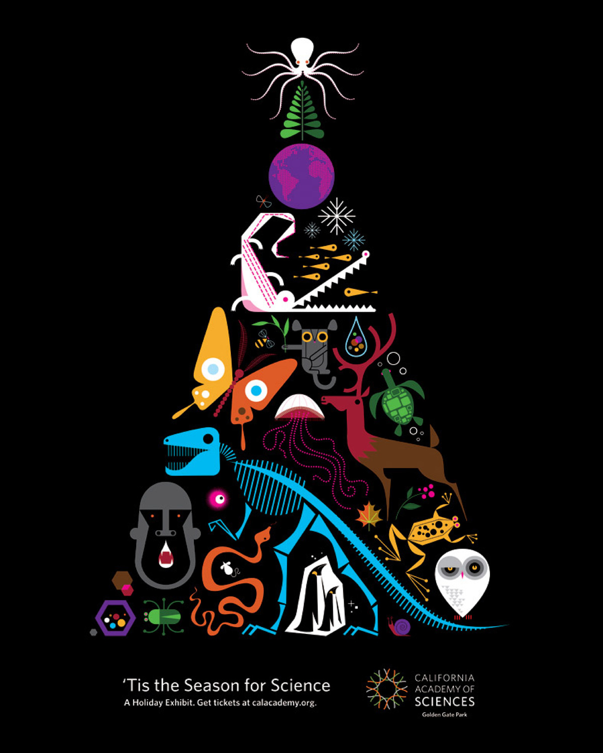 RFA-WORK-CAS-Wonder-Creative-10-FA