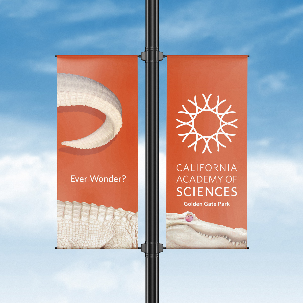 RFA-WORK-CAS-Wonder-Creative-12-FA