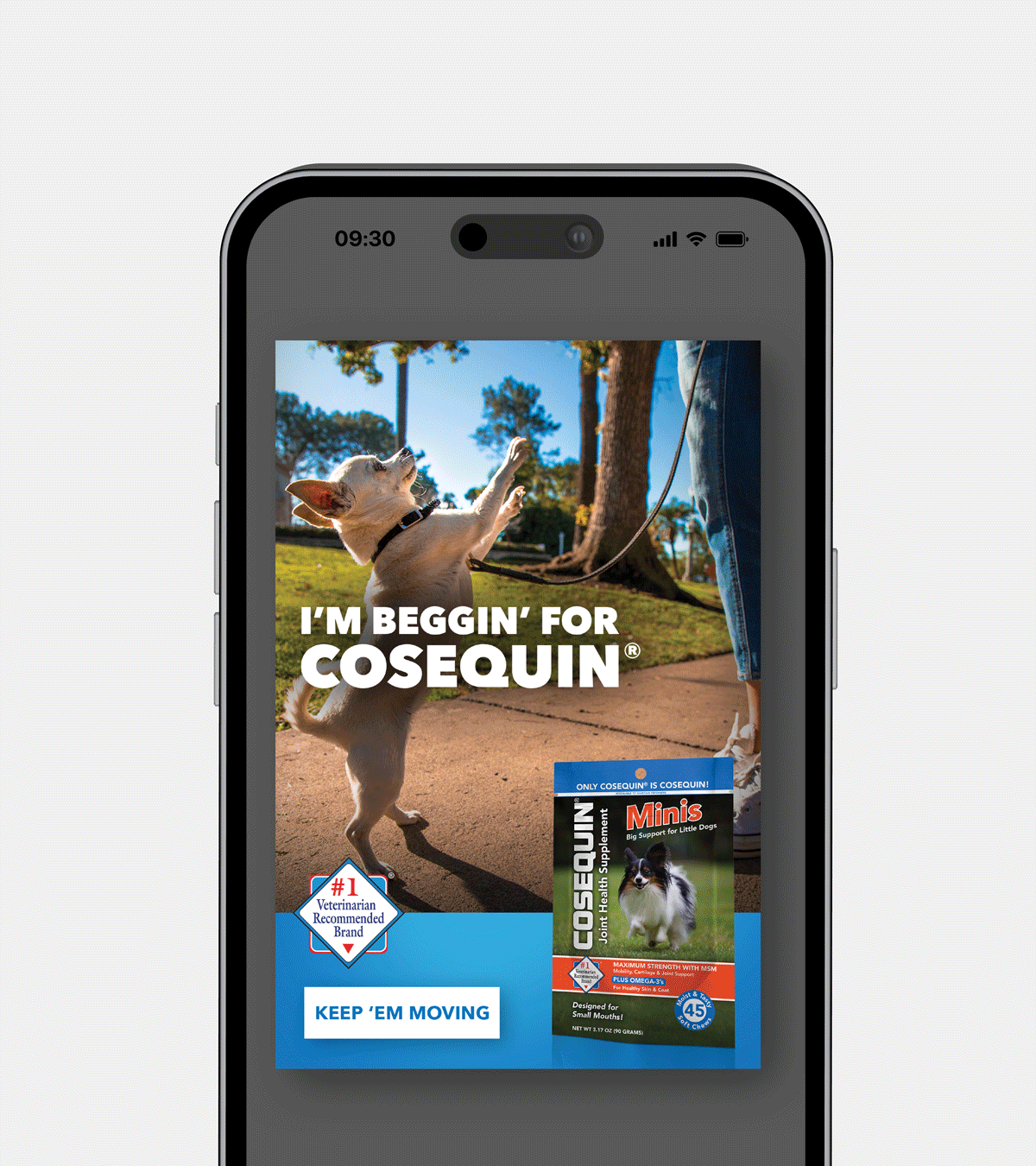 RFA-WORK-Cosequin-Creative-2-FA