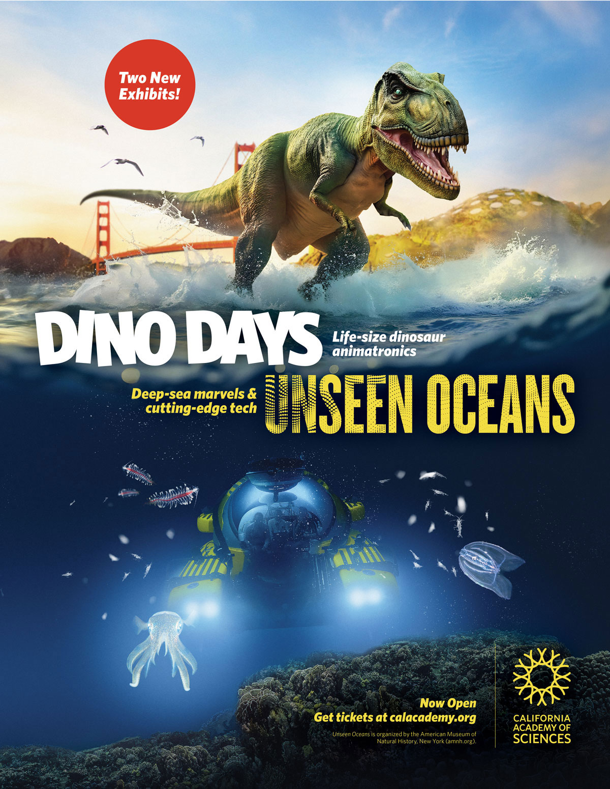 RFA-WORK-CAS-Dino+Ocean-Creative-2-FA